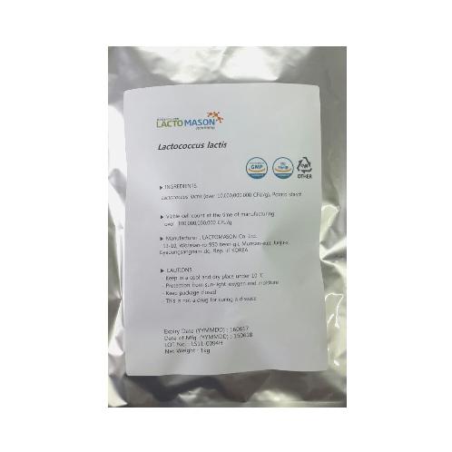 lactococcus lactis probiotics