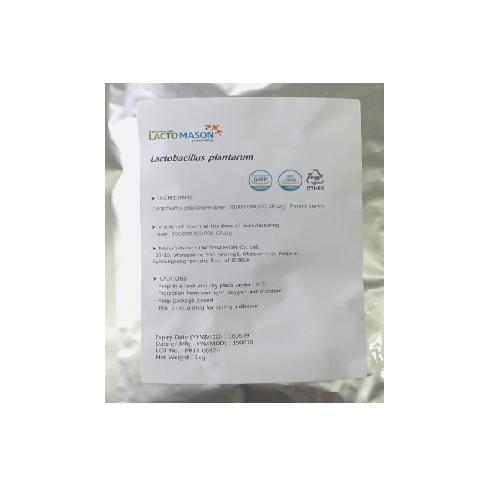 probiotic lactobacillus plantarum