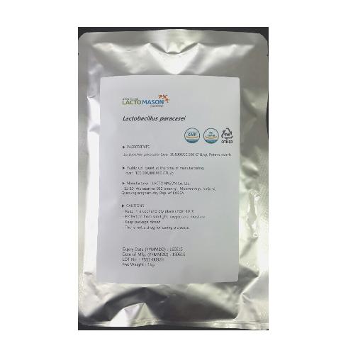 probiotics lactobacillus paracasei